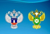 Для закупок проектно-изыскательских работ необходимо членство в СРО двух видов. Так считают ФАС и Минстрой, НОПРИЗ поддерживает 
