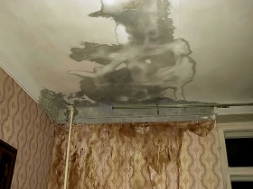 Хабаровская СРО понесла субсидиарную ответственность за некачественный ремонт кровли подрядчиком 