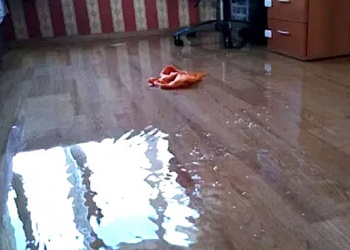 Залитое подрядчиком жильё, несмотря на доводы московской СРО, обернулось для неё солидарной ответственностью 