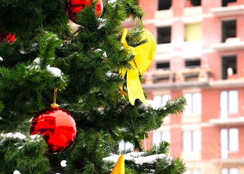 ЗаНоСтрой.РФ поздравляет всех представителей строительной отрасли и её системы саморегулирования с Новым годом и Рождеством Христовым!