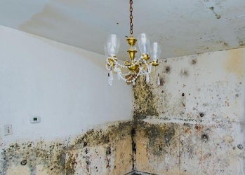 Подмосковная СРО понесла солидарную ответственность за своего подрядчика, который не законсервировал фасад в зимний период